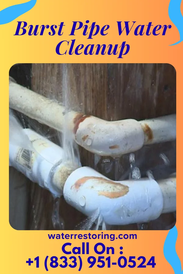 Burst Pipe Water Cleanup in Oriskany, NY