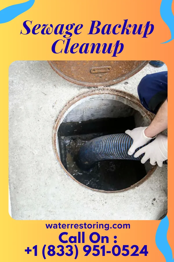 Sewage Backup Cleanup in Oriskany, NY
