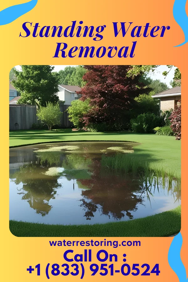 Standing Water Removal in Oriskany, NY
